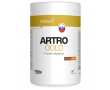 Artro Gold | chocolatate/orange 750g