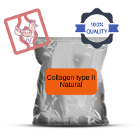 Collagen type II 50g