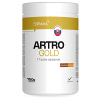 Artro Gold | chocolatate/orange 750g